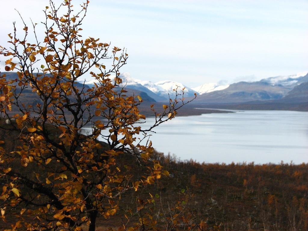 Galdotieva-Seo Villa Leppäjärvi Bagian luar foto