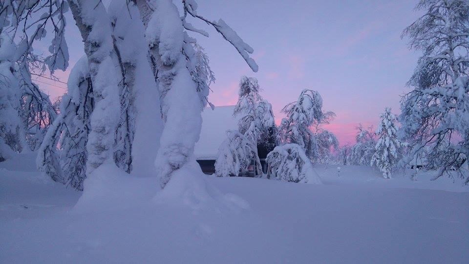 Galdotieva-Seo Villa Leppäjärvi Bagian luar foto