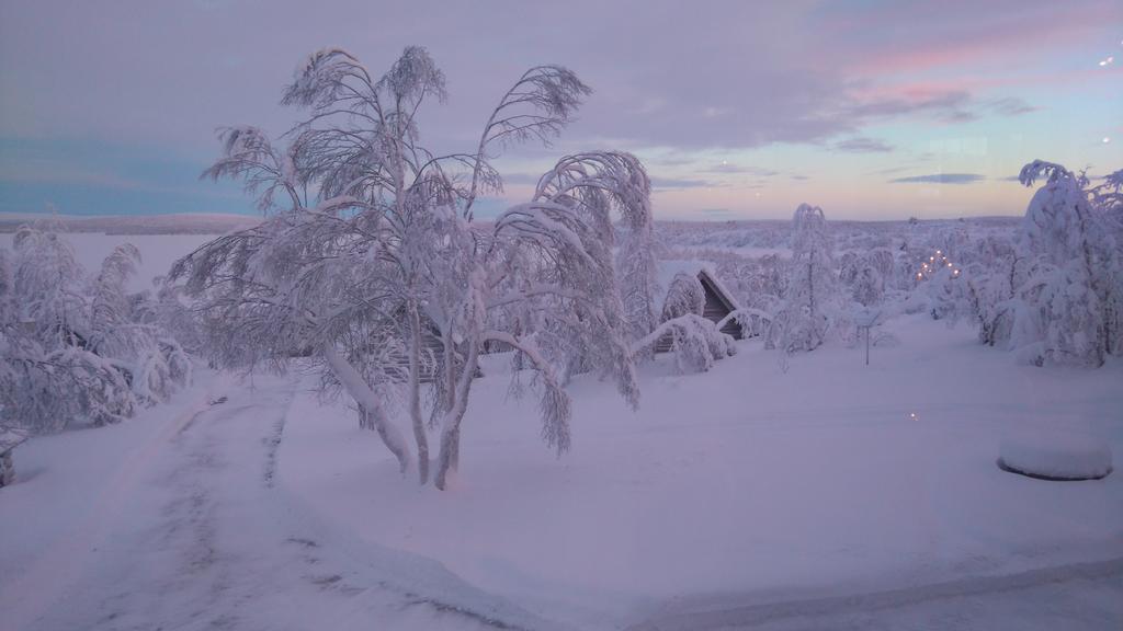 Galdotieva-Seo Villa Leppäjärvi Bagian luar foto